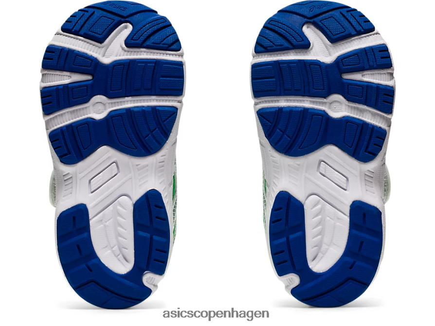 Asics bestride 6 småbørnsstørrelse koriander/grønkål Z206F64554