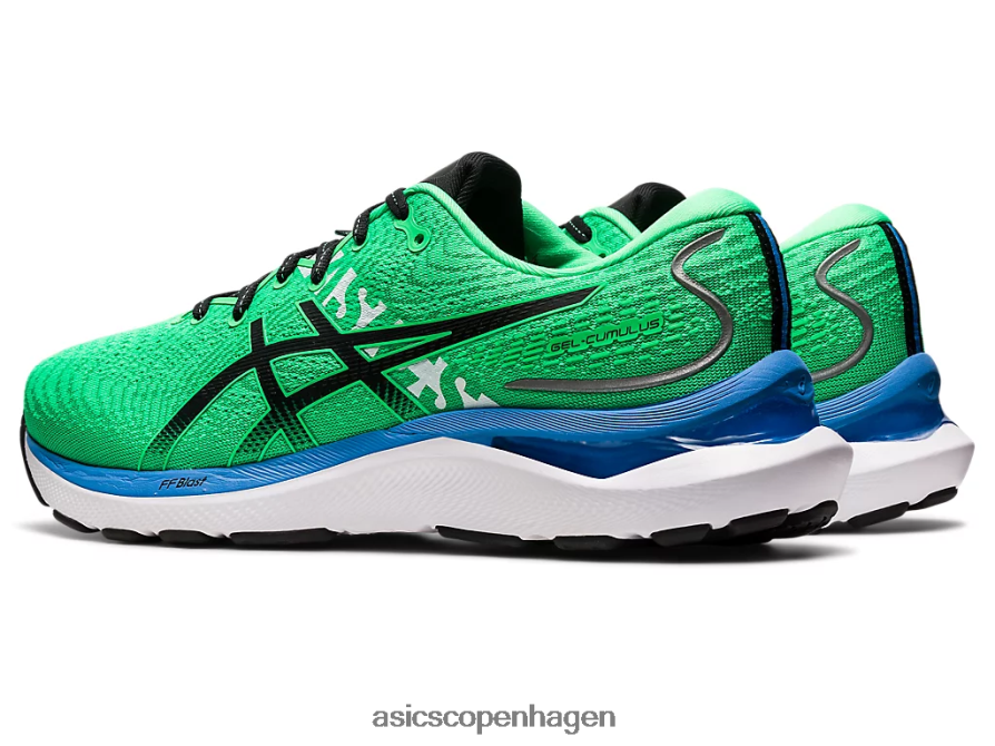 Asics gel-cumulus 24 ekiden nyt blad/sort Z206F6811
