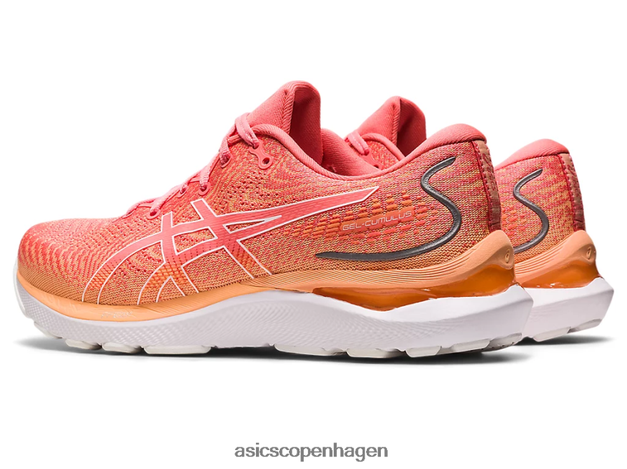 Asics gel-cumulus 24 papaya/hvid Z206F62393