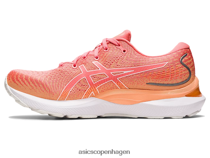 Asics gel-cumulus 24 papaya/hvid Z206F62393