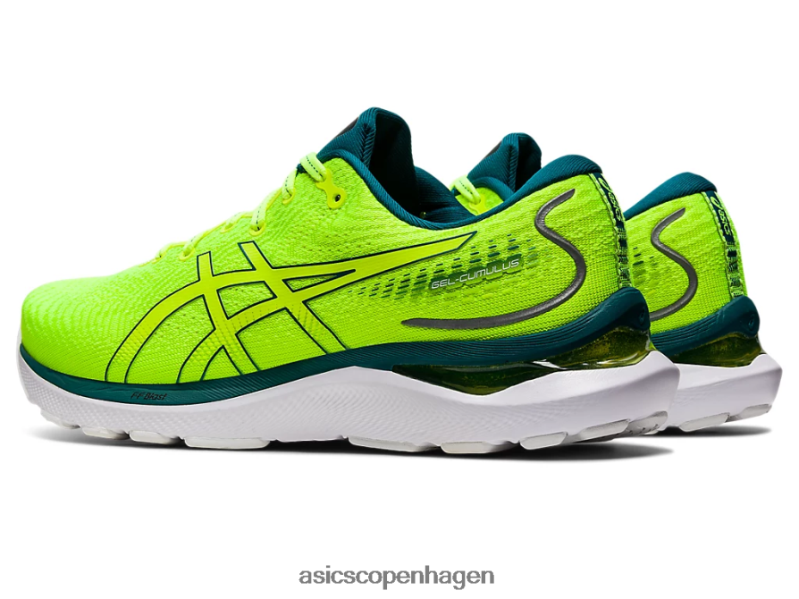 Asics gel-cumulus 24 sikkerhedsgul/fløjlsfyr Z206F61036