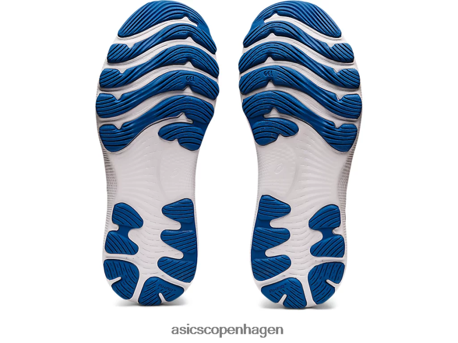 Asics gel-nimbus 24 fransk blå/knap rosenrød Z206F63546