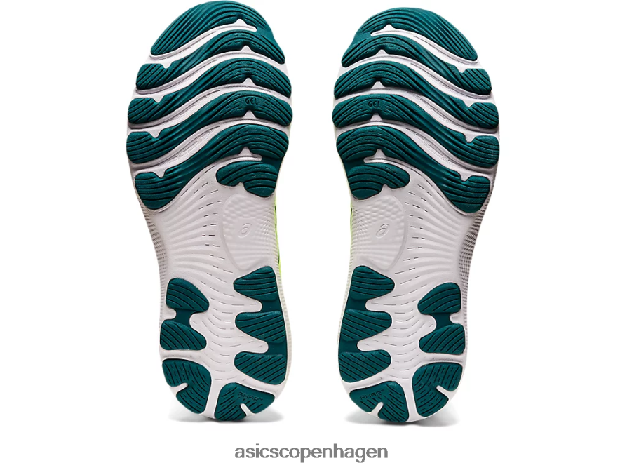 Asics gel-nimbus 24 hvid/fløjlsfyr Z206F62974