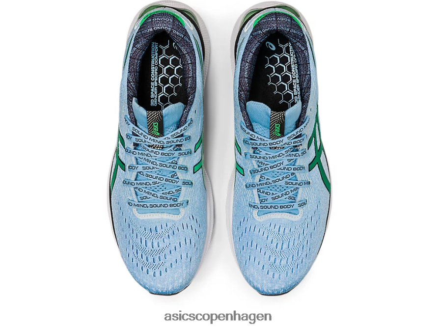 Asics gel-nimbus 24 limited edition arktisk himmel/koriander Z206F61014