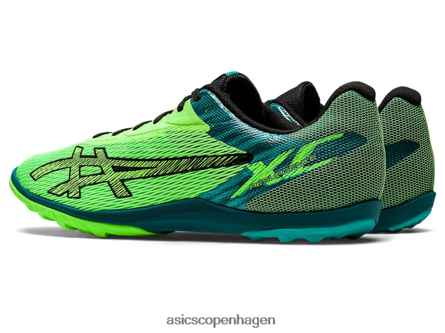 Asics genopblussen xc grøn gekko/sort Z206F6681