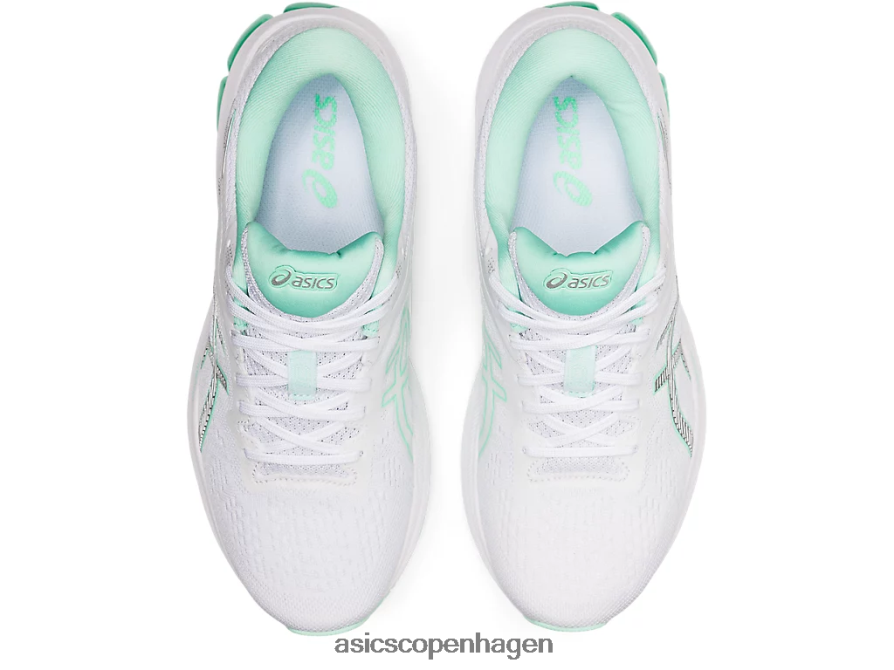 Asics gt-1000 10 hvid/ren sølv Z206F63896