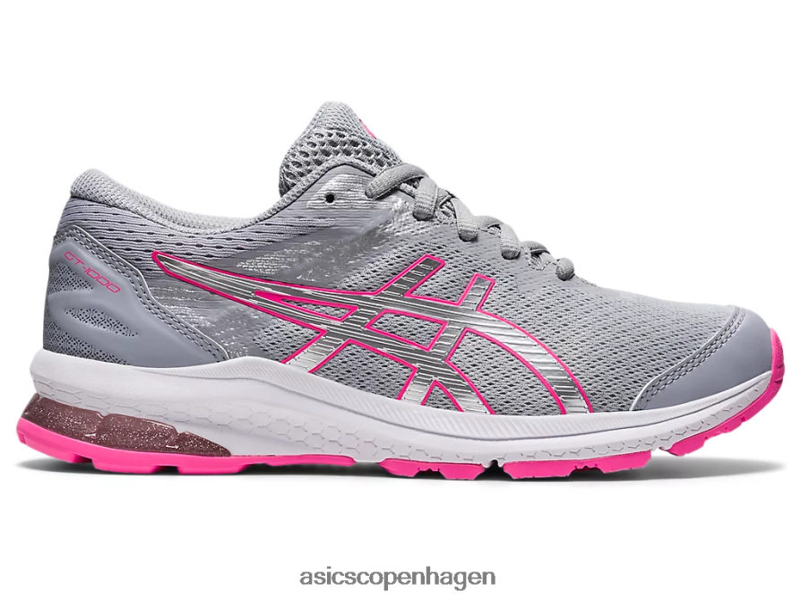 Asics gt-1000 10 klasse skole piemontegrå/rent sølv Z206F64310