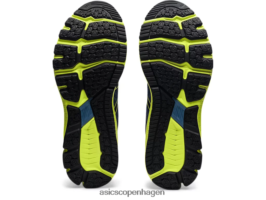 Asics gt-1000 10 storm blå/tordenblå Z206F61870