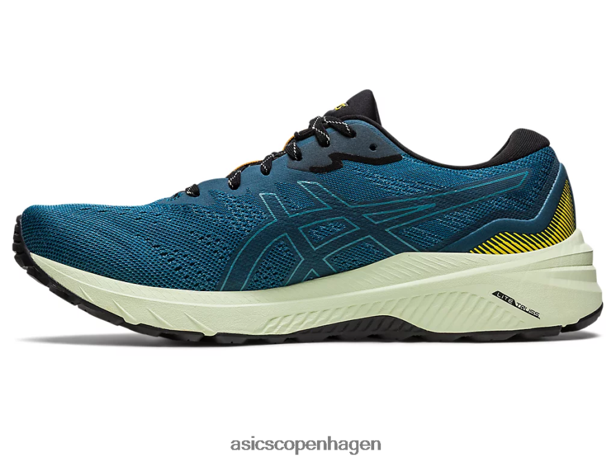 Asics gt-1000 11 tr naturbadning naturbadning/guldgul Z206F6524