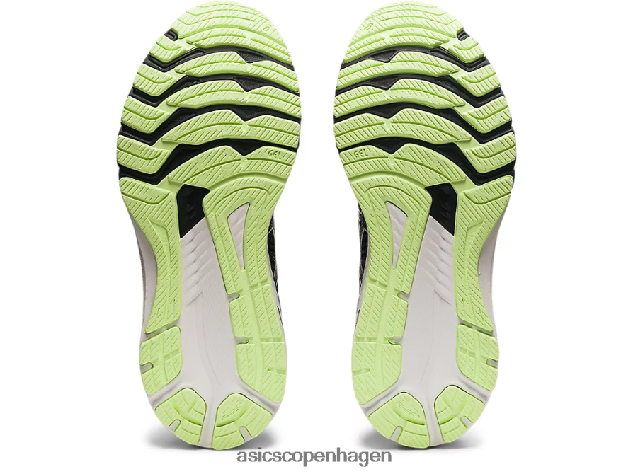 Asics gt-2000 10 blød lavendel/sort Z206F63692