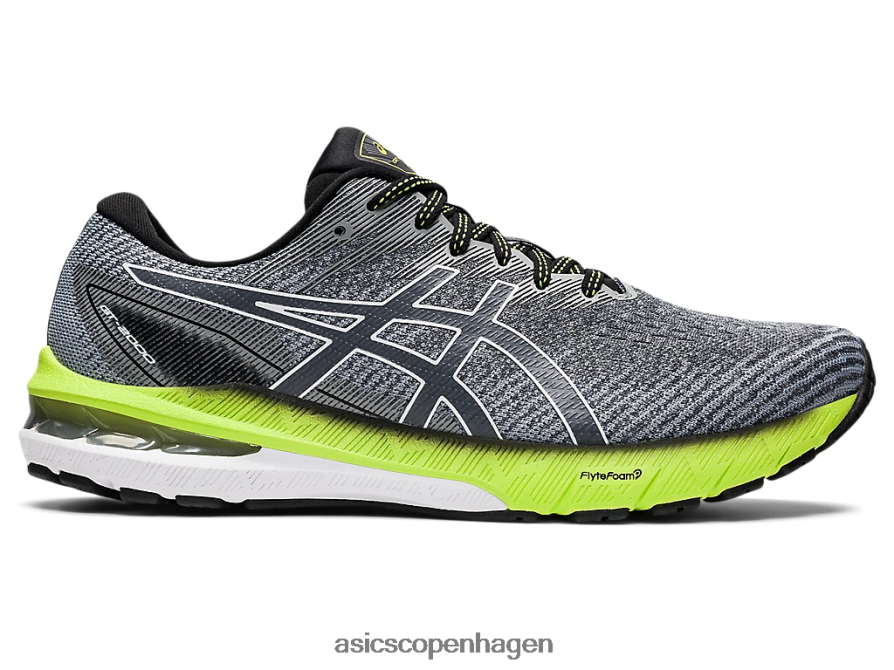 Asics gt-2000 10 bærer grå/hvid Z206F61475