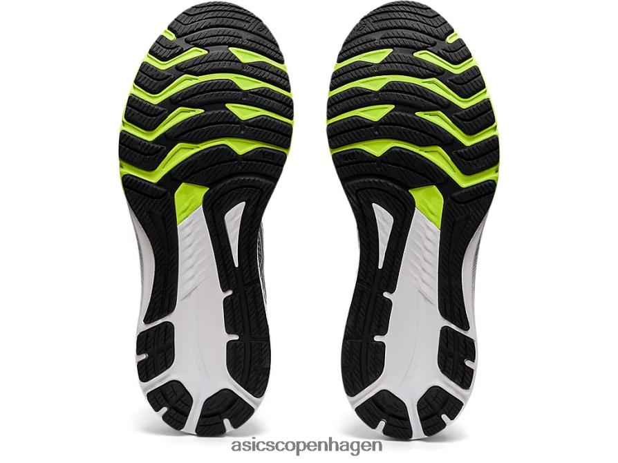 Asics gt-2000 10 bærer grå/hvid Z206F61475