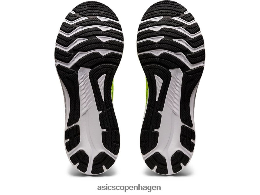 Asics gt-2000 10 huddle gul/fløjlsfyr Z206F6971