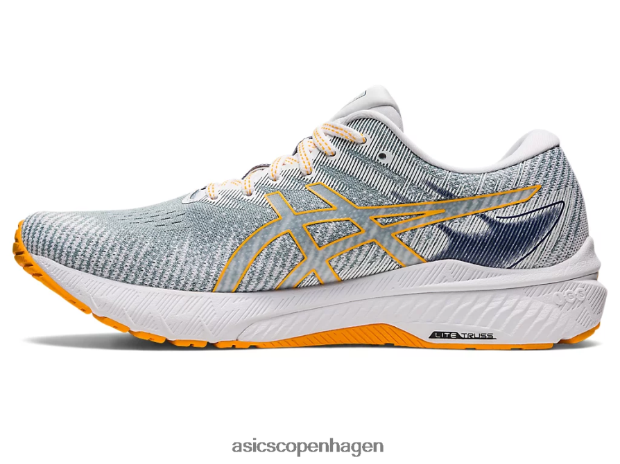 Asics gt-2000 10 let stål/rav Z206F61238