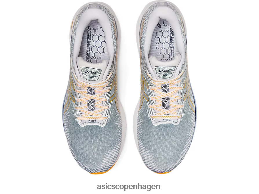 Asics gt-2000 10 let stål/rav Z206F61238