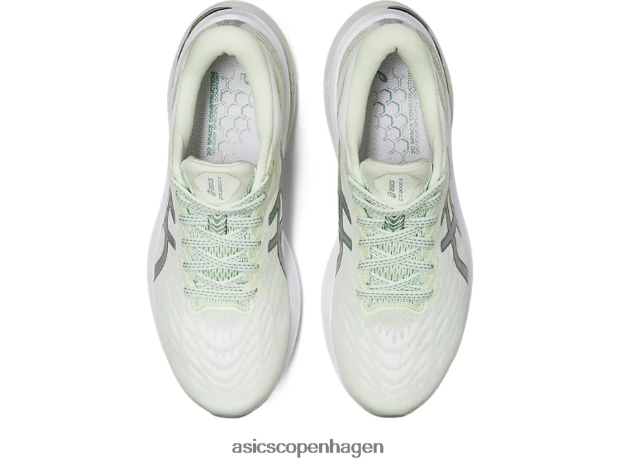 Asics gt-2000 11 hviske grøn/rent sølv Z206F62607