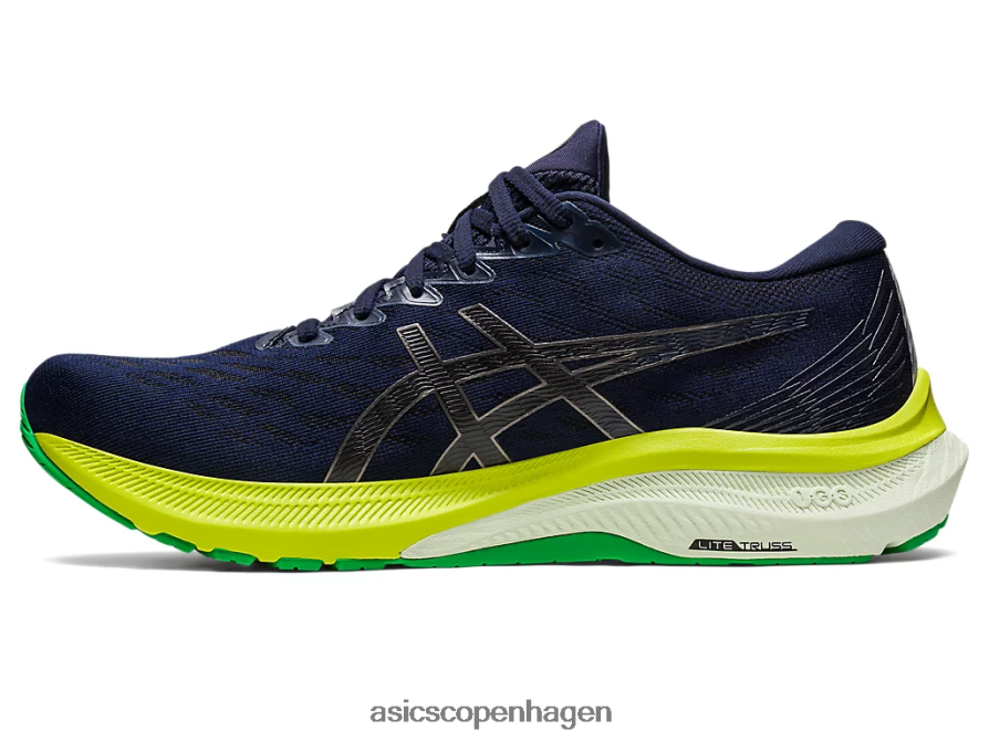 Asics gt-2000 11 midnat/sort Z206F6683