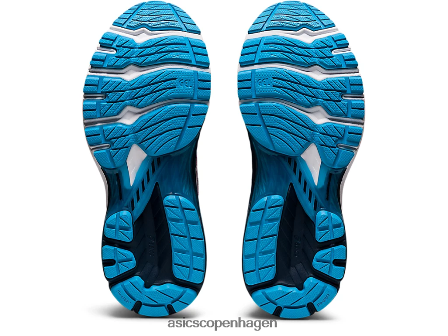 Asics gt-2000 9 strik fransk blå/hvid Z206F63737