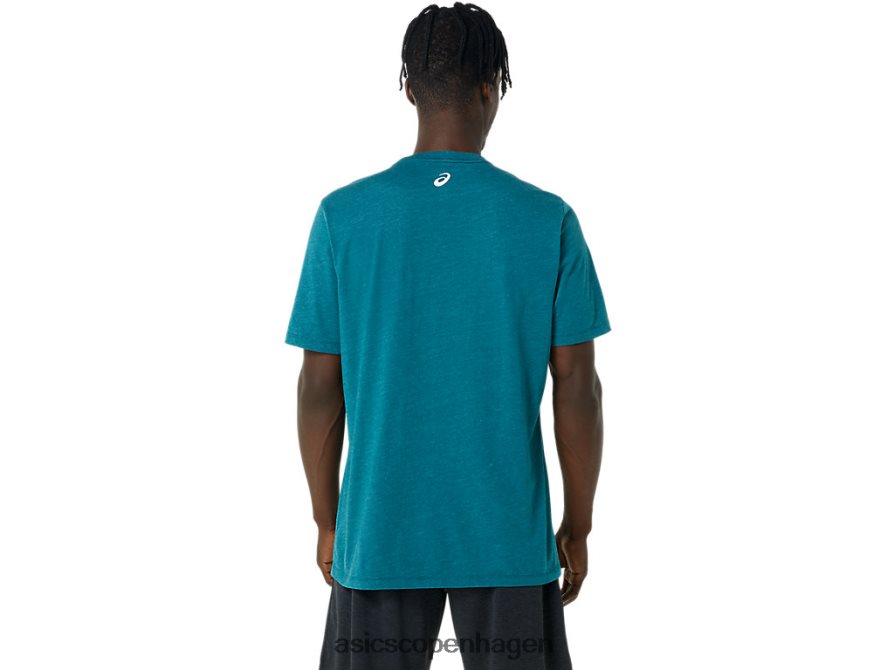 Asics hibiscus slogan t-shirt fløjlsfyrlyng Z206F6798