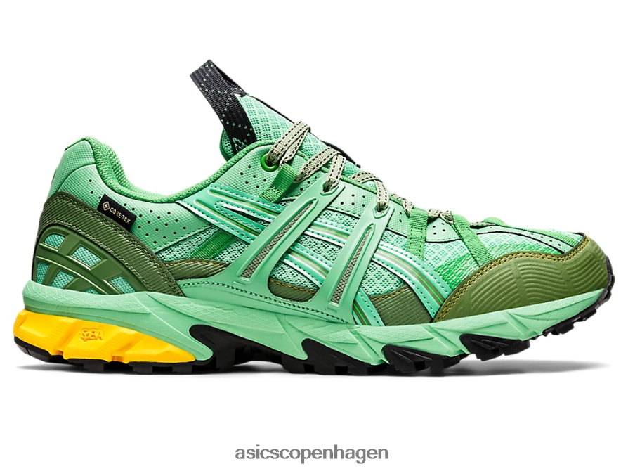 Asics hs4-s gel-sonoma 15-50 gtx forårsbuket/blå grafit Z206F61248