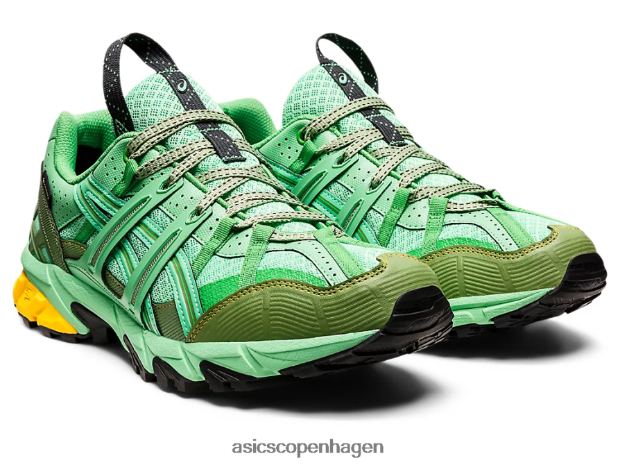 Asics hs4-s gel-sonoma 15-50 gtx forårsbuket/blå grafit Z206F61248