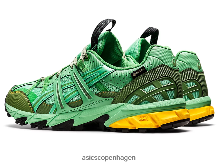 Asics hs4-s gel-sonoma 15-50 gtx forårsbuket/blå grafit Z206F61248