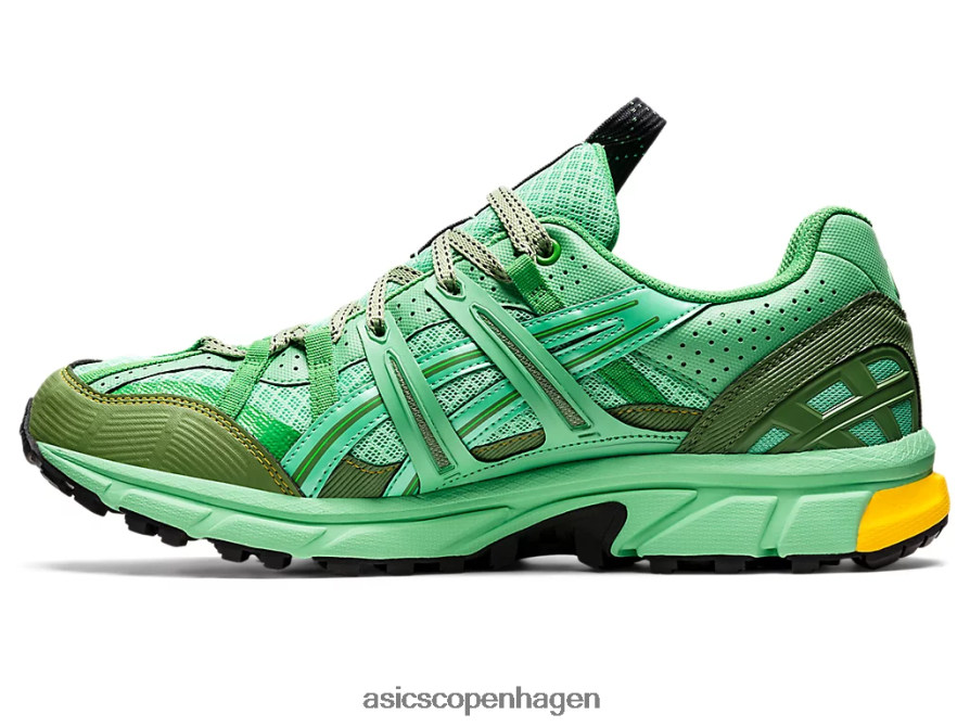 Asics hs4-s gel-sonoma 15-50 gtx forårsbuket/blå grafit Z206F61248