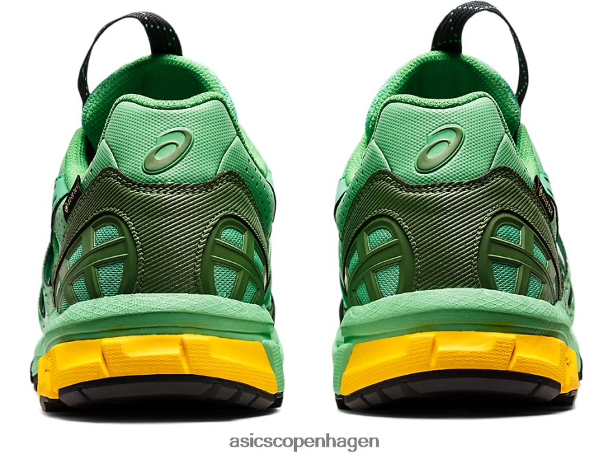 Asics hs4-s gel-sonoma 15-50 gtx forårsbuket/blå grafit Z206F61248