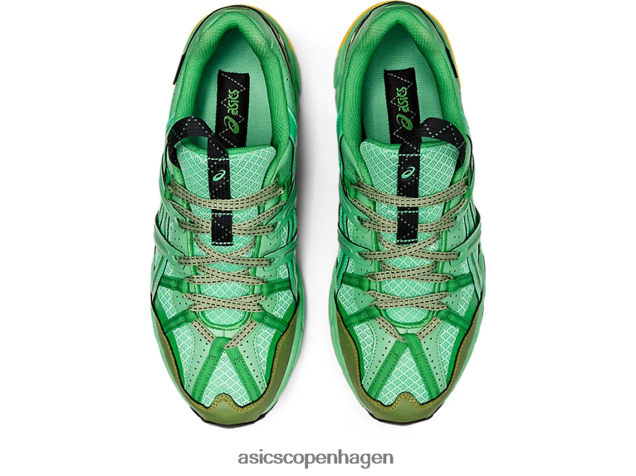 Asics hs4-s gel-sonoma 15-50 gtx forårsbuket/blå grafit Z206F61248