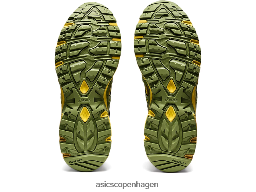 Asics hs4-s gel-sonoma 15-50 gtx grøn glans/epsom Z206F61227