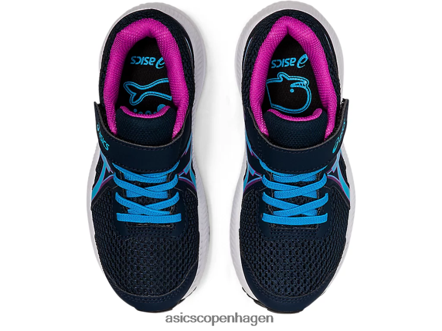 Asics kæmpe 7 førskole fransk blå/digital aqua Z206F64549