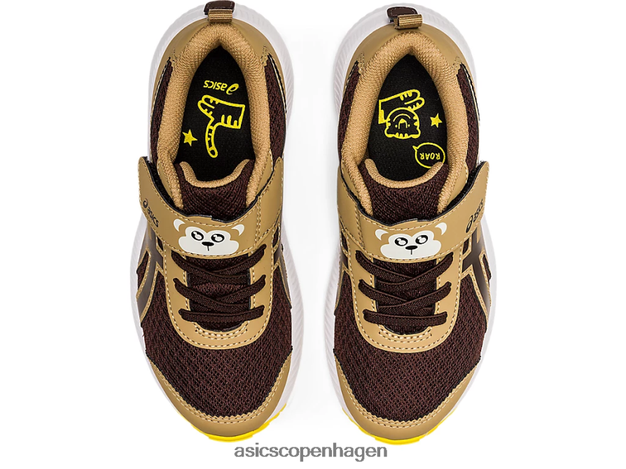 Asics kæmpe 7 førskole kaffe/kaffe Z206F64482