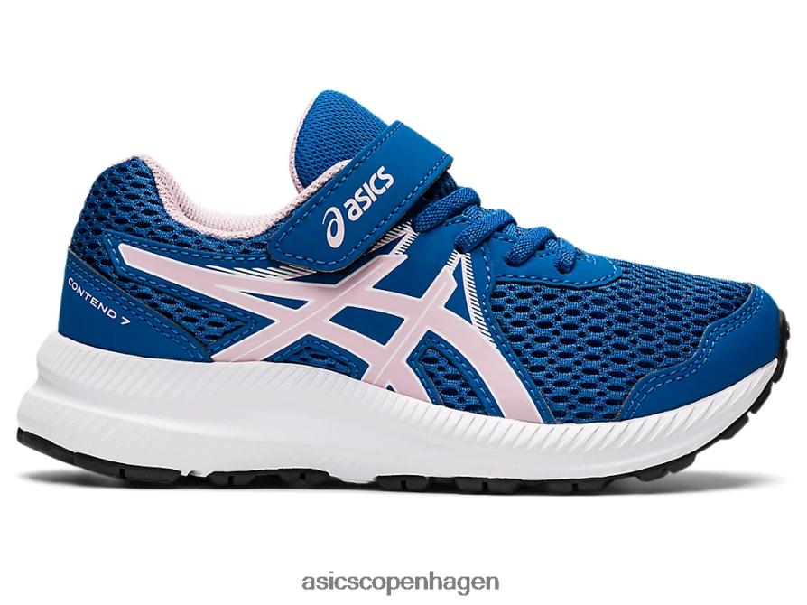 Asics kæmpe 7 førskole søkørsel/næppe steg Z206F64520