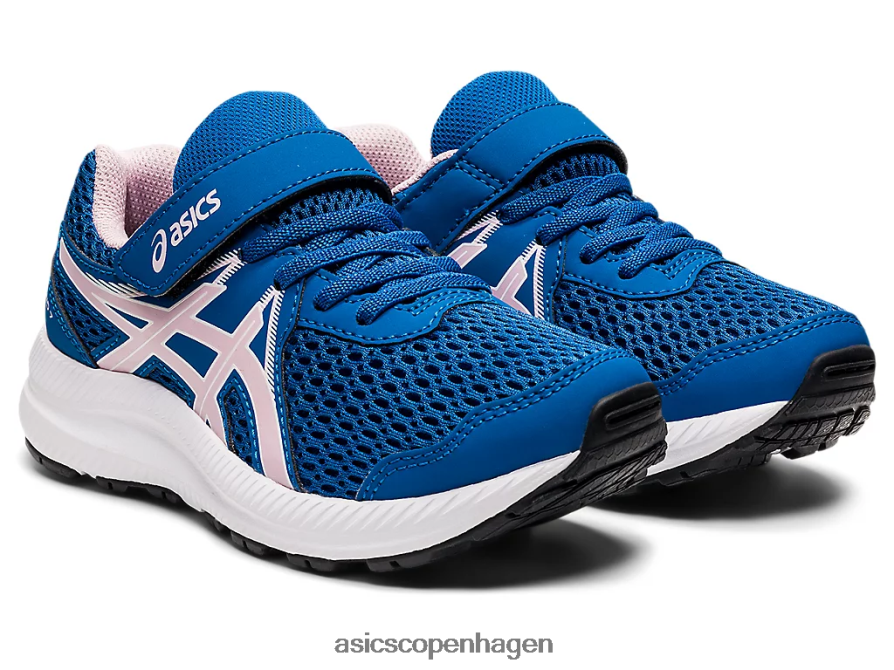 Asics kæmpe 7 førskole søkørsel/næppe steg Z206F64520