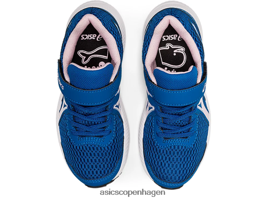 Asics kæmpe 7 førskole søkørsel/næppe steg Z206F64520