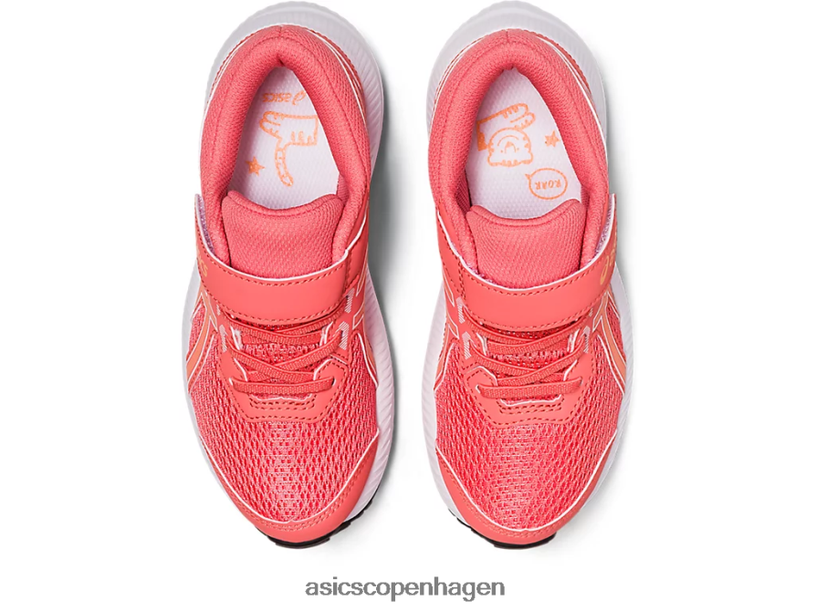 Asics kæmpe 8 førskole papaya/sommerklit Z206F64259