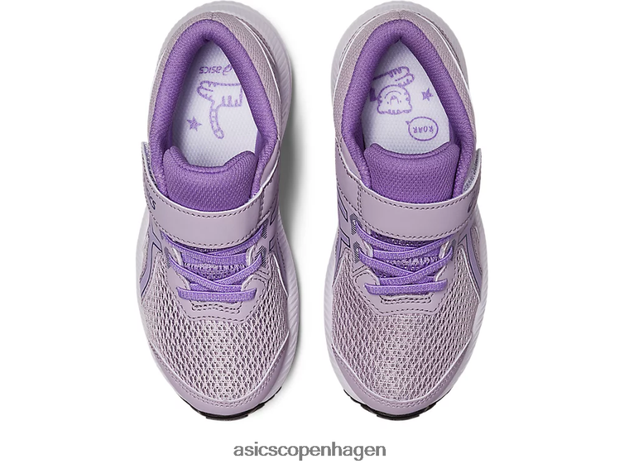 Asics kæmpe 8 førskole skumringsviolet/digitalviolet Z206F64248