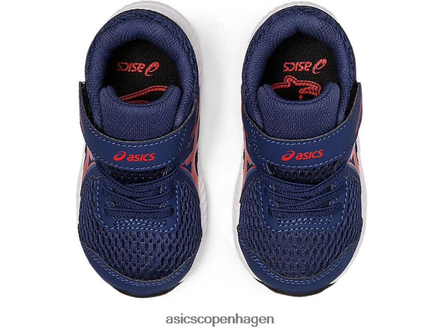 Asics kæmper med 7 småbørnsstørrelse dybt hav/klassisk rød Z206F64390