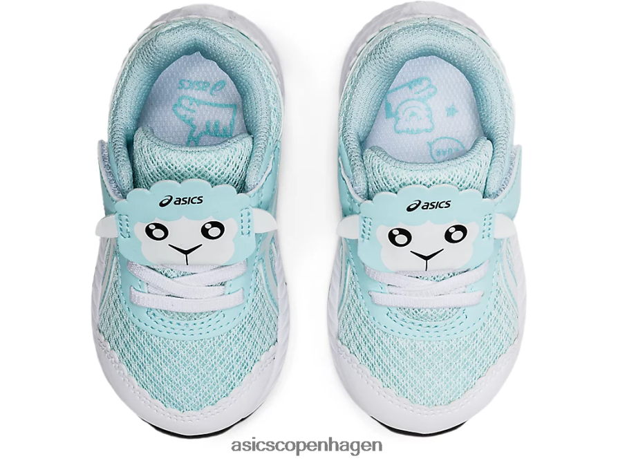 Asics kæmper med 7 småbørnsstørrelse klar blå/hvid Z206F64470