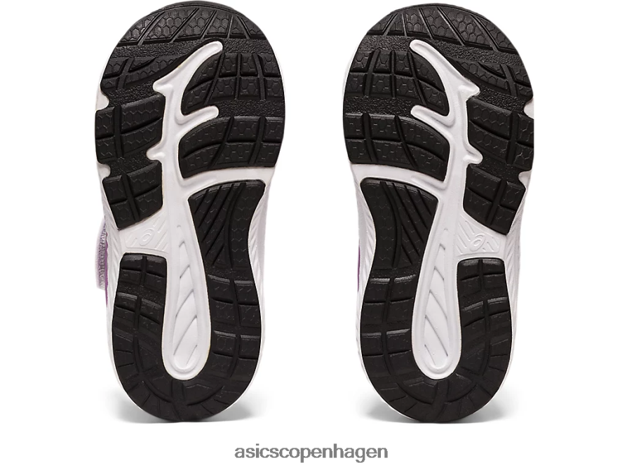 Asics kæmper med 7 småbørnsstørrelse piemontegrå/lavendel glød Z206F64387