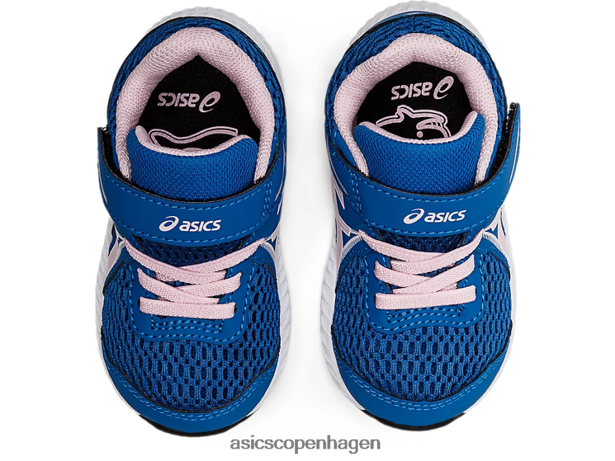Asics kæmper med 7 småbørnsstørrelse søkørsel/næppe steg Z206F64480