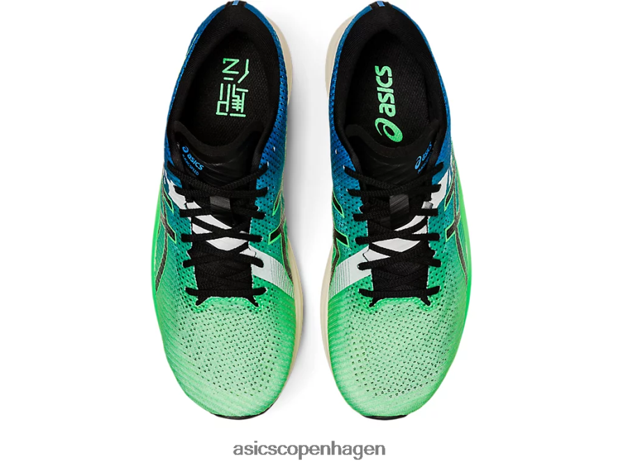 Asics magic speed 2 ekiden nyt blad/sort Z206F6846