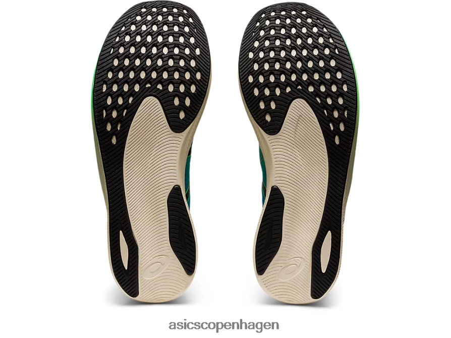 Asics magic speed 2 ekiden nyt blad/sort Z206F6846