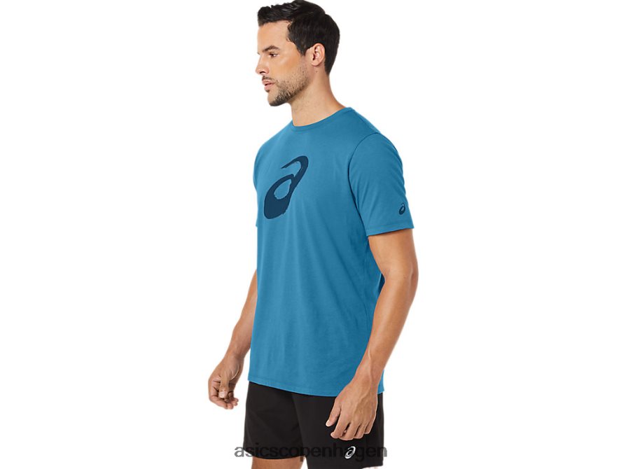 Asics malerpensel kortærmet t-shirt ø blå lyng Z206F672
