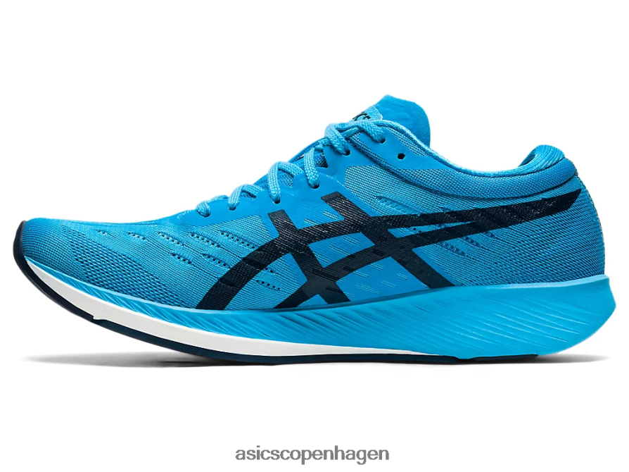 Asics metaracer digital aqua/fransk blå Z206F62005