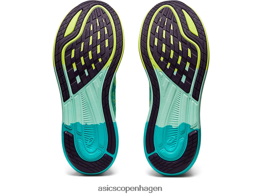 Asics noosa tri 14 sikkerhed gul/beroligende hav Z206F63118