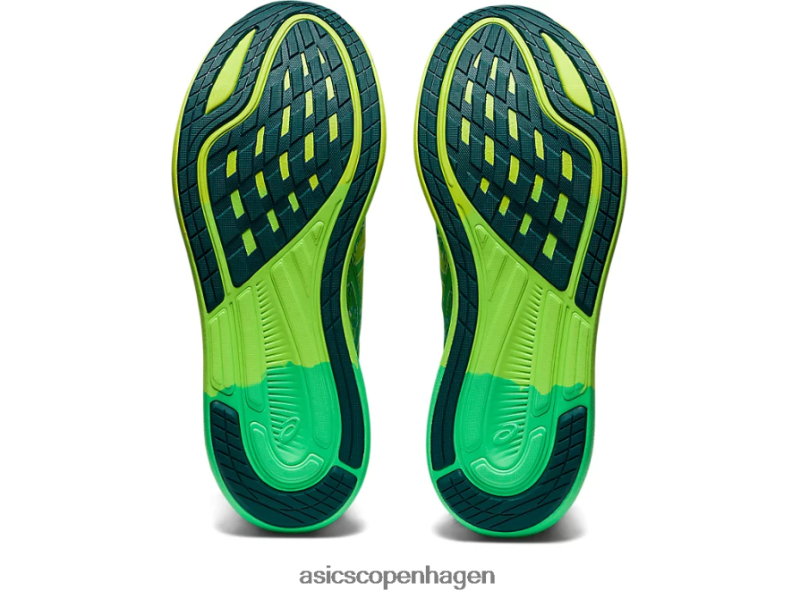 Asics noosa tri 14 sikkerhed gul/hvid Z206F61154