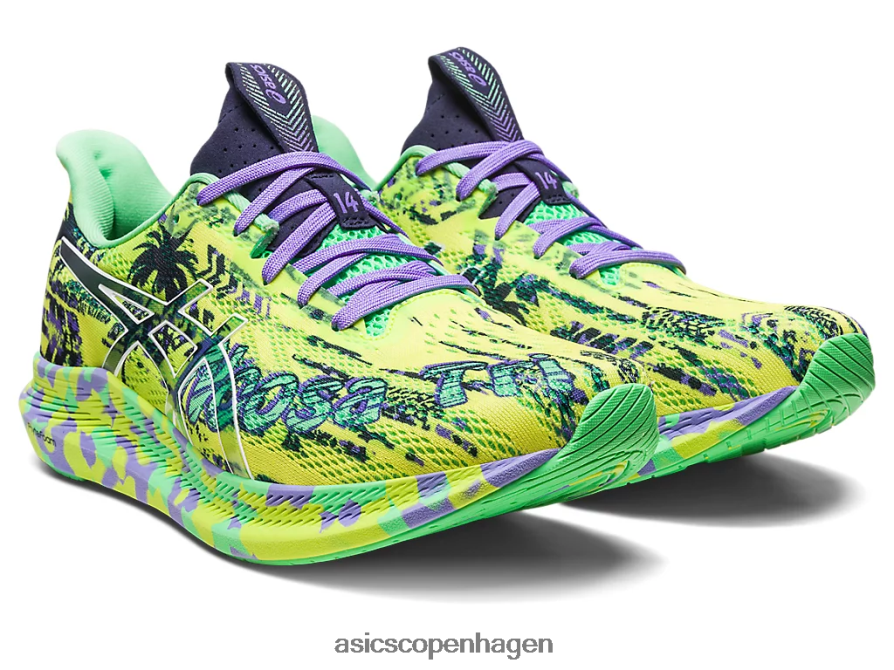 Asics noosa tri 14 sikkerhedsgul/midnat Z206F62412
