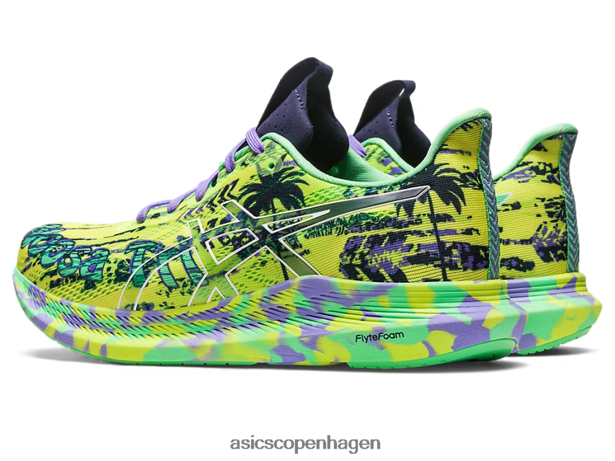 Asics noosa tri 14 sikkerhedsgul/midnat Z206F62412