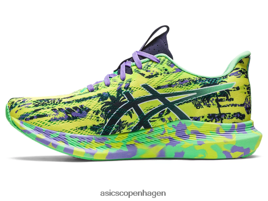Asics noosa tri 14 sikkerhedsgul/midnat Z206F62412